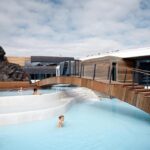¿Cuáles son los hoteles más lujosos para tu mascota en el 2025? »